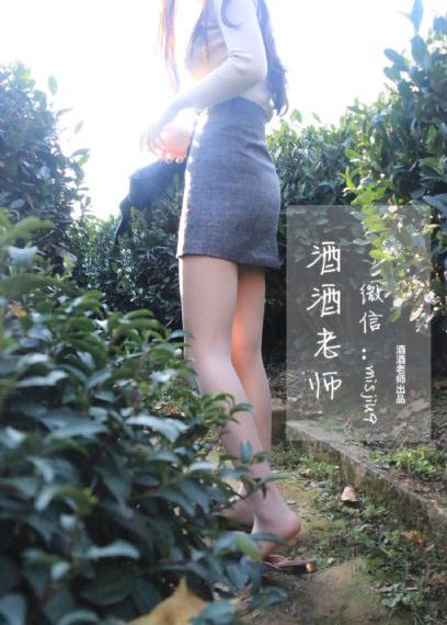 顶楼的大象原片在线观看_DVD电影完整版在线观看